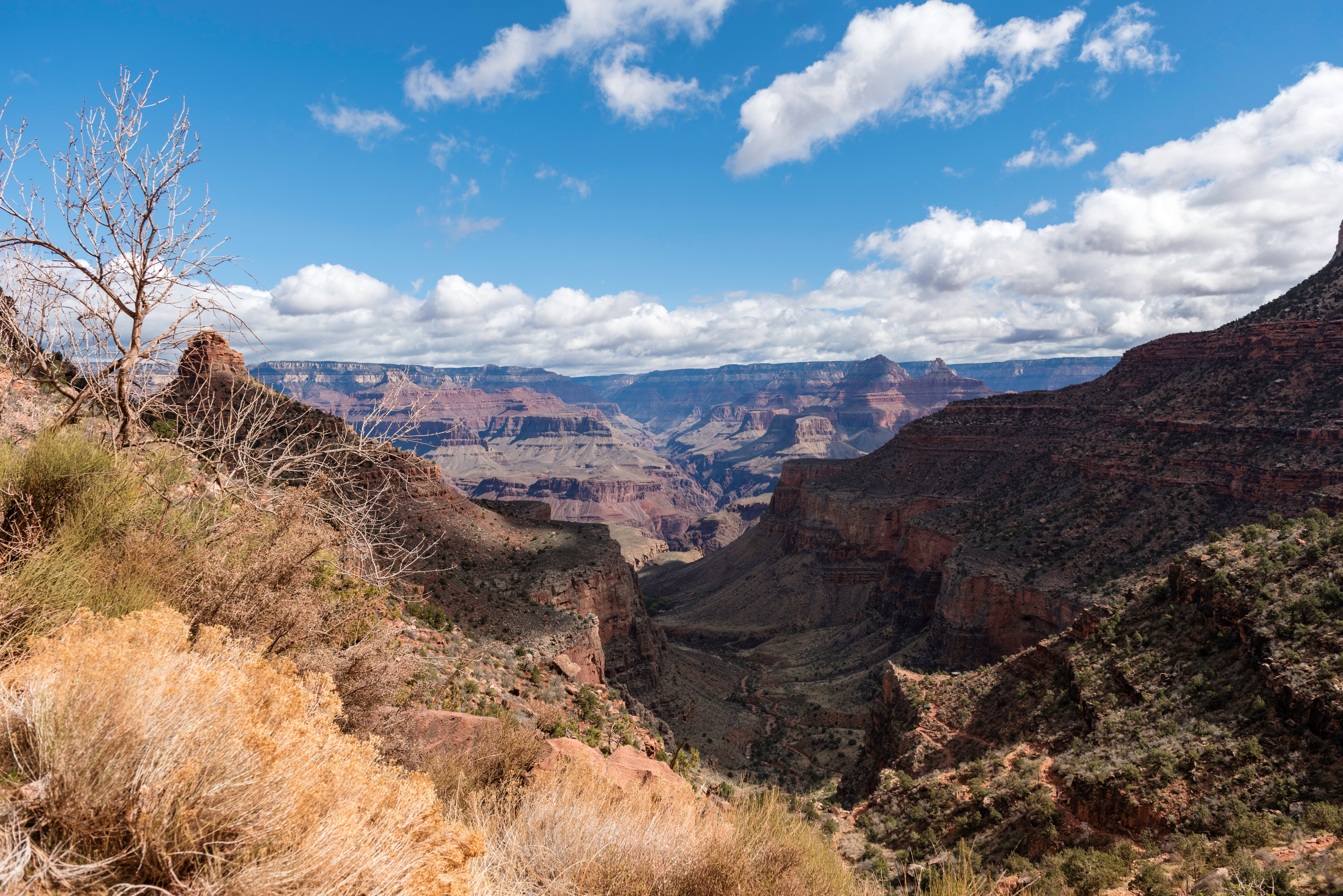 gallery/grandcanyon-17